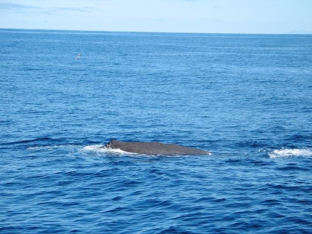 Urlaub in Norwegen 2006